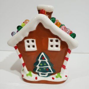 Lighted Christmas House